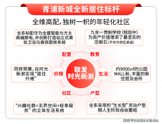 <strong>无论是对标周边新</strong>